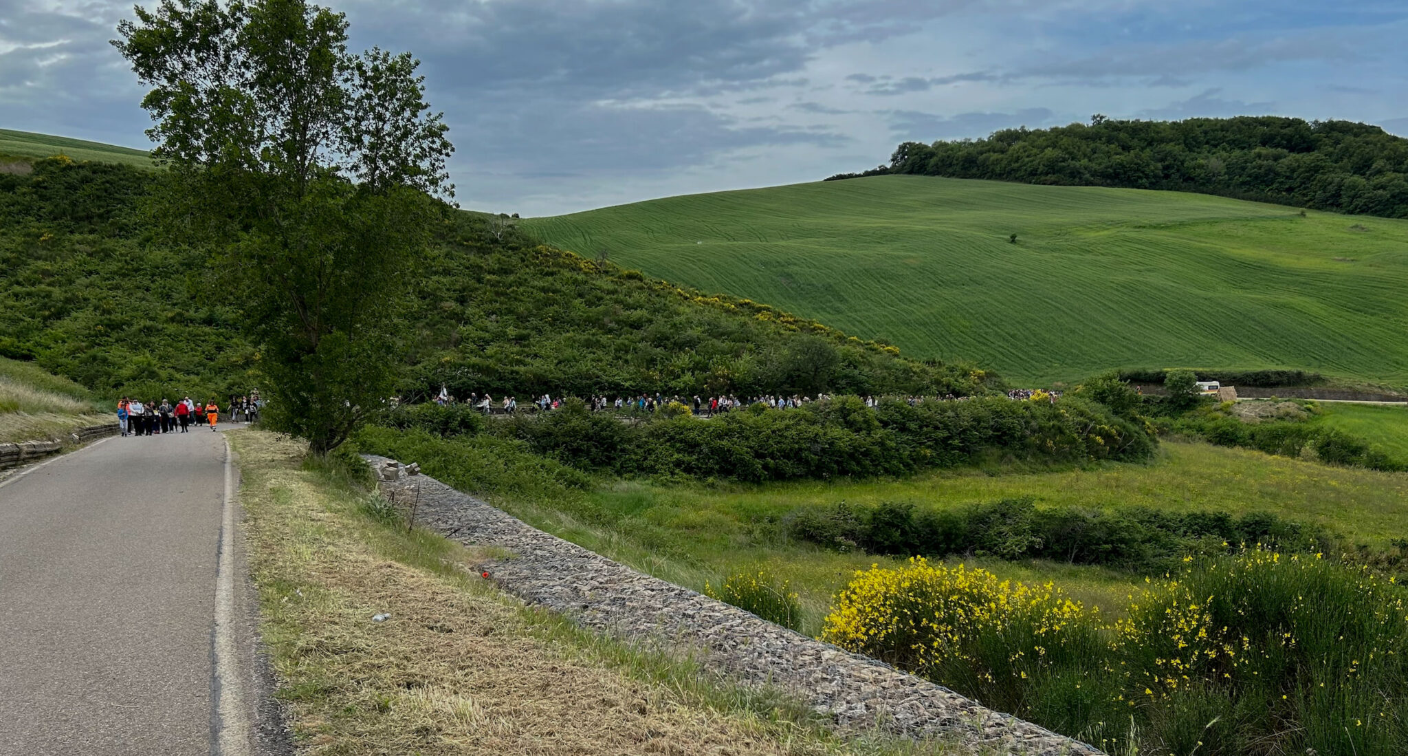 VD_fondo_HeroSection_7