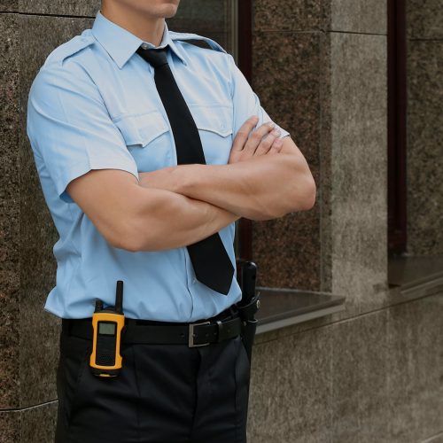 mini_vigilanza-privata-beni-culturali